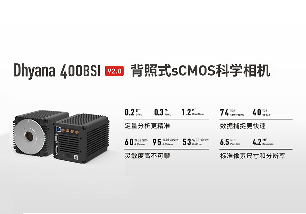 定量分析更精准，数据捕捉更快速， Dhyana 400 BSI V2.0 完成关键性能升级，正式上市！