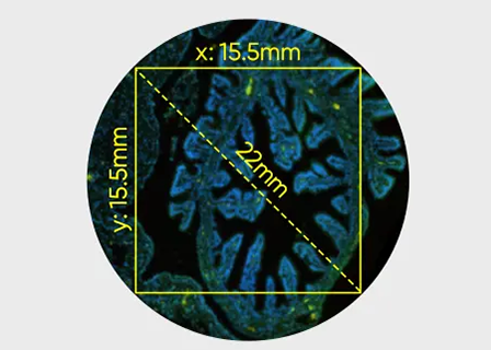 科学相机中有效面积指的是什么？
