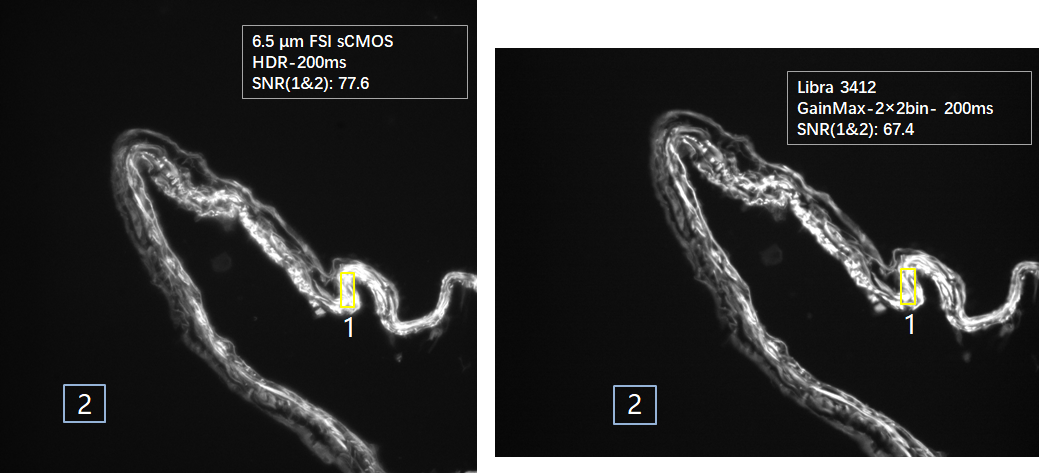 libra 3504 3412 SNR对比