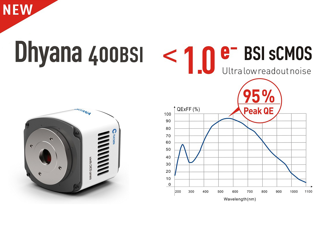 鑫图发布新一代超高信噪比sCMOS科学相机，Dhyana 400BSI!