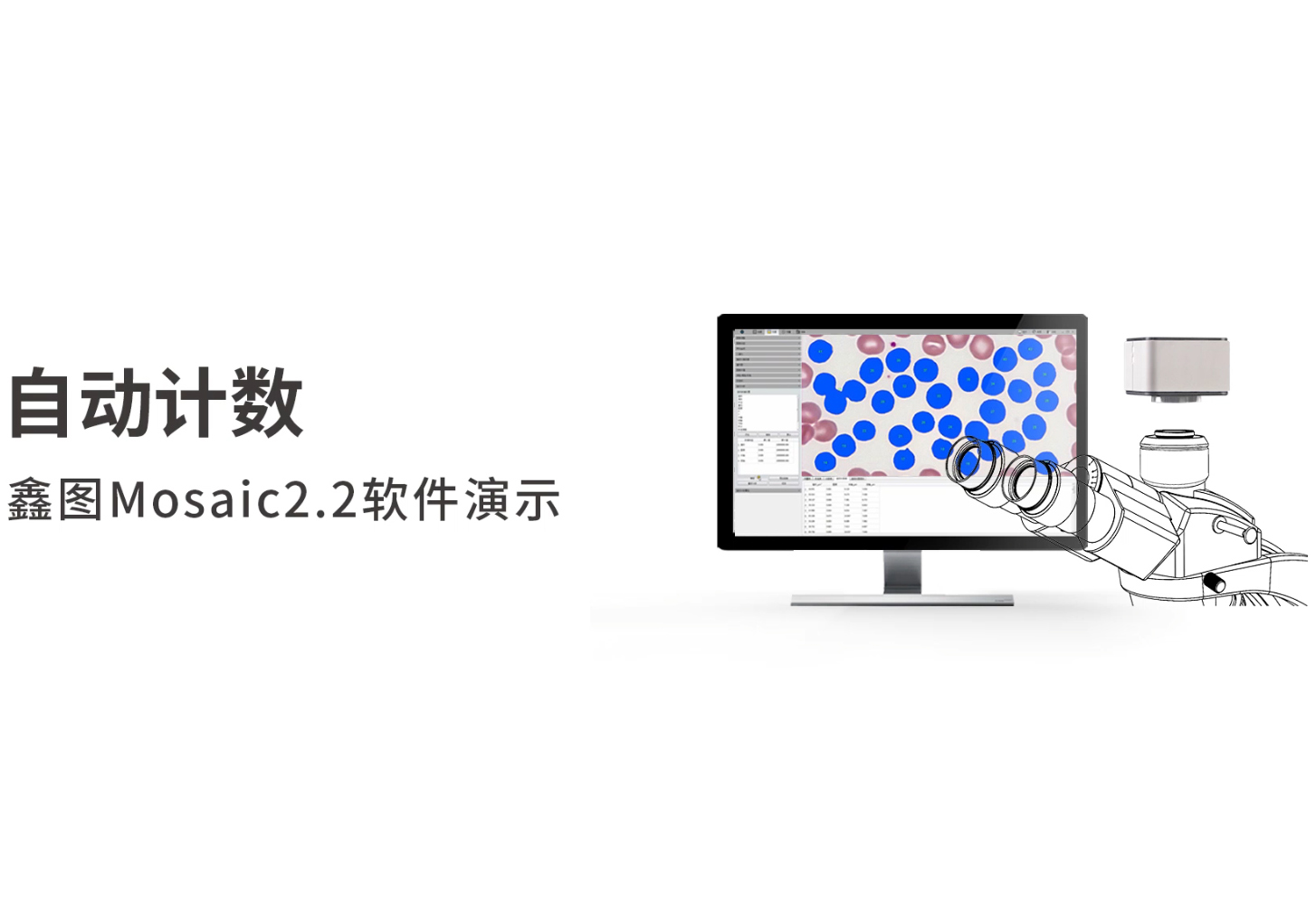 自动计数