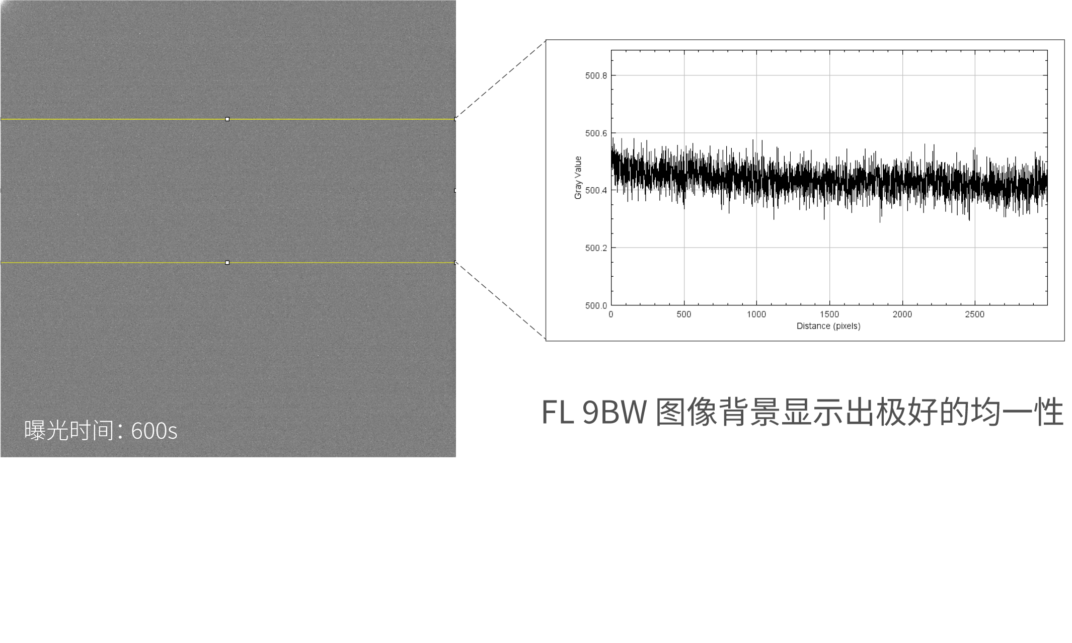 背景均一</br>定量分析更精准